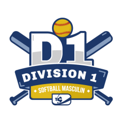 logo D1 soft