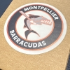 Sticker Barracudas 2025 – Image 2